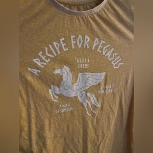 Disney Pegasus Adult tshirt